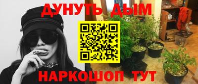 стафф Малгобек