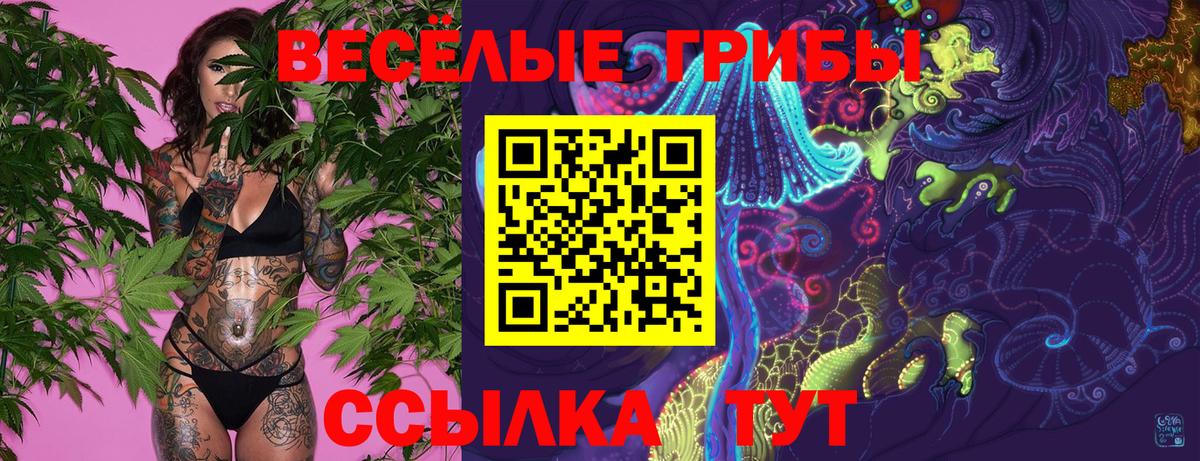 Кирово-Чепецк  Галлюциногенные грибы MAGIC MUSHROOMS  Вход с VPN 