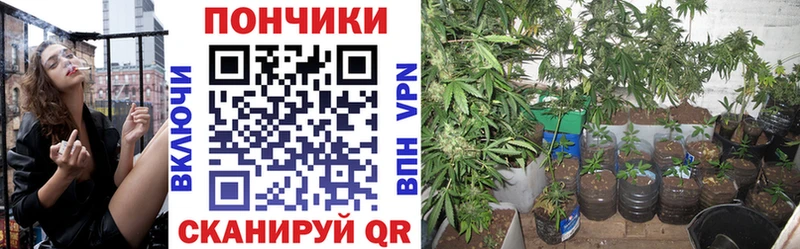 Бошки марихуана LSD WEED  Кирово-Чепецк 